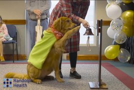 Cão toca sino para celebrar fim do tratamento contra câncer em clínica nos Estados Unidos.<!-- NICAID(15620469) -->