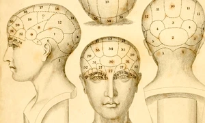 (Sub)ansamblurile cognitive
