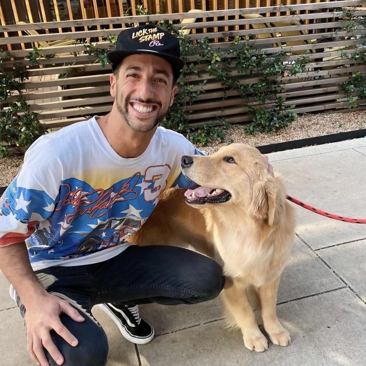 Mambo Dog