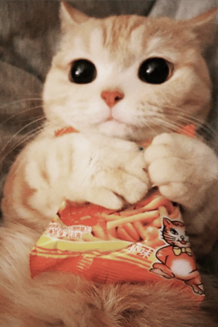 CARROT JUICE
